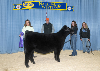 Junior Heifer Calf Champion - Div 1