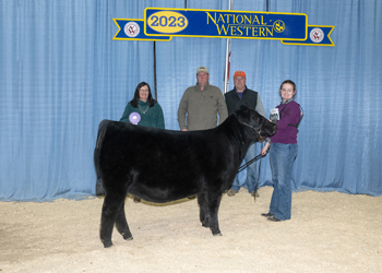 Reserve Junior Heifer Calf Champion - Div 1