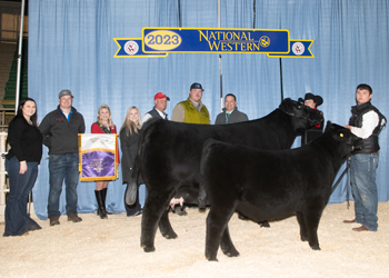 Grand Champion Cow-calf Pair