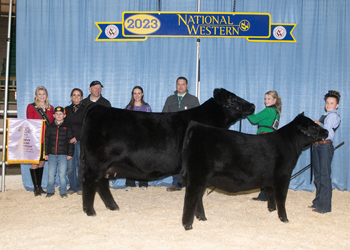 Reserve Grand Champion Cow-calf Pair