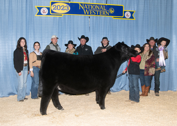 Reserve Junior Champion Heifer