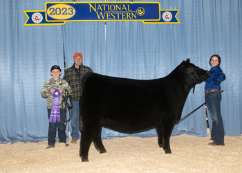 Intermediate Champion Heifer