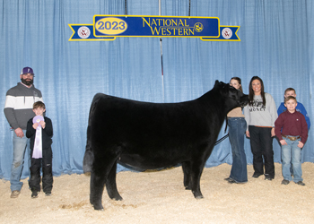 Reserve Intermediate Champion Heifer