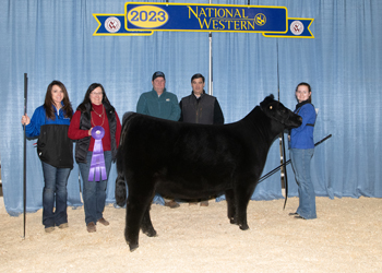 Senior Heifer Calf Champion