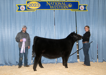 Reserve Junior Heifer Calf Champion - Division 1