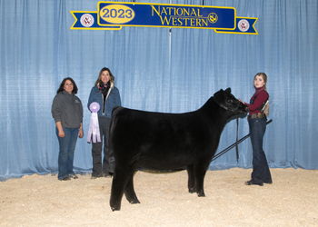 Reserve Summer Heifer Calf Champion