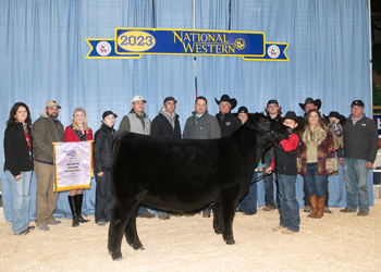 Reserve Grand Champion Female