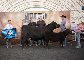 Reserve Grand Champion Cow-calf Pair