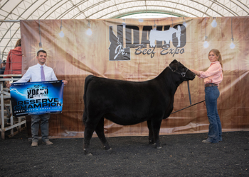 Reserve Grand Champion Bred-and-owned Female