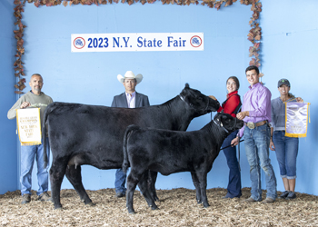 Reserve Grand Champion Cow-calf Pair