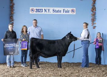 Junior Heifer Calf Champion