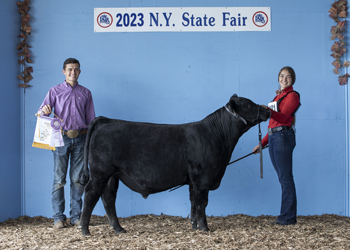 Reserve Junior Bull Calf Champion