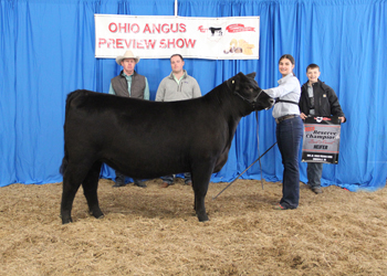 Reserve Grand Champion Bred-and-owned Female