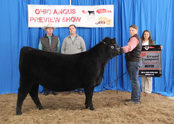 Grand Champion Bred-and-owned Female