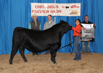 Grand Champion Bred-and-owned Bull