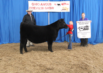 Grand Champion Female