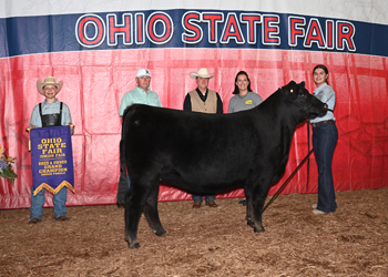 Grand Champion Bred-and-owned Female