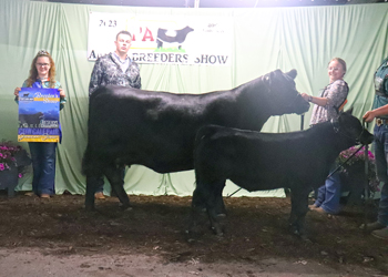 Reserve Grand Champion Cow-calf Pair