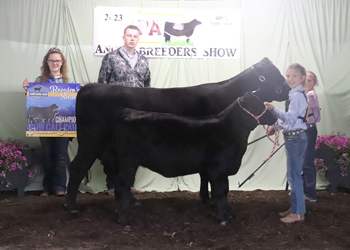 Grand Champion Cow-calf Pair