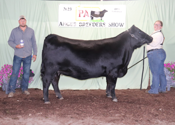 Owned Reserve Senior Champion Female