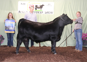 Reserve Grand Champion Bred-and-owned Steer