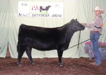 Bred-and-owned Intermediate Champion Heifer