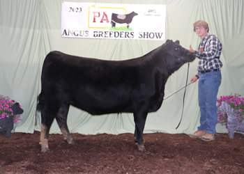 Bred-and-owned Reserve Late Junior Champion Heifer