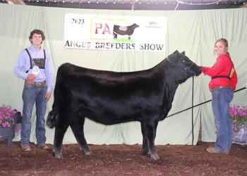 Owned Reserve Late Junior Champion Heifer