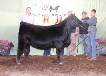 Reserve Grand Champion Owned Female