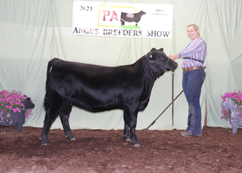 Owned Reserve Senior Heifer Calf Champion