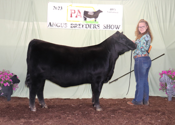 Owned Reserve Intermediate Champion Heifer