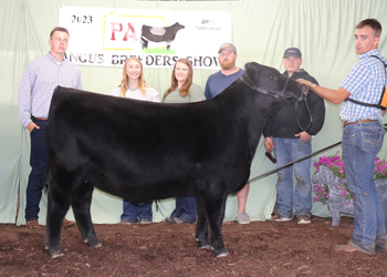 Grand Champion Owned Female