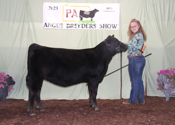 Owned Senior Heifer Calf Champion