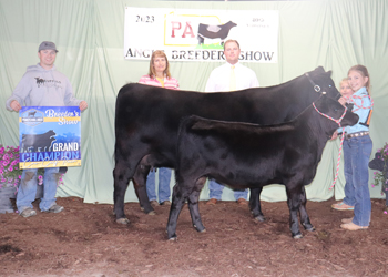 Grand Champion Cow-calf Pair