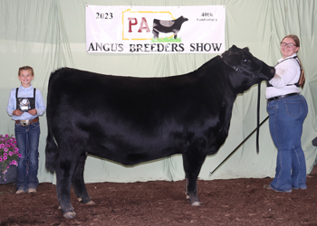 Reserve Senior Champion Female