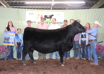 Reserve Grand Champion Female