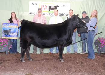 Grand Champion Female