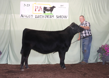 Reserve Senior Heifer Calf Champion