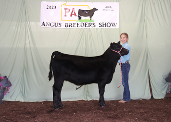 Junior Heifer Calf Champion