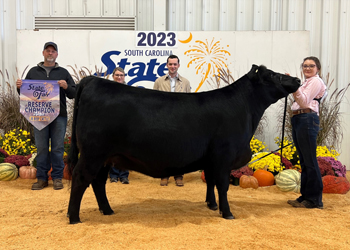 Reserve Grand Champion Female