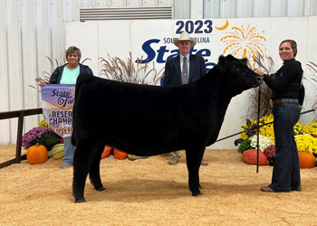 Reserve Grand Champion Female