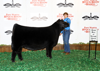 Reserve Senior Heifer Calf Champion