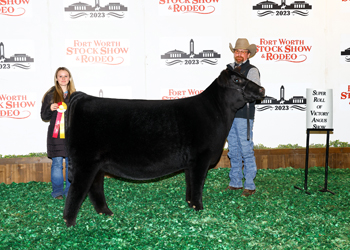 Reserve Early Junior Heifer Calf Champion