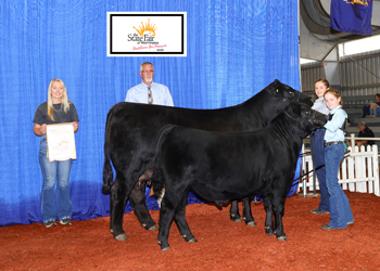 Reserve Grand Champion Cow-calf Pair