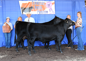 Grand Champion Cow-calf Pair