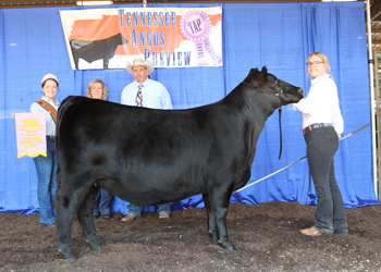 Reserve Grand Champion Bred-and-owned Female