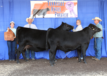 Grand Champion Cow-calf Pair