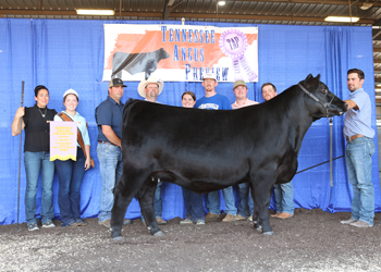 Reserve Grand Champion Female