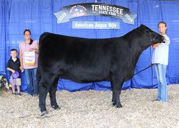 Reserve Senior Champion Female