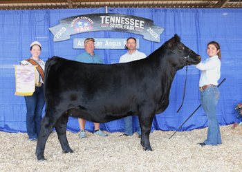 Reserve Grand Champion Female